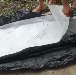 taking off teflon papers