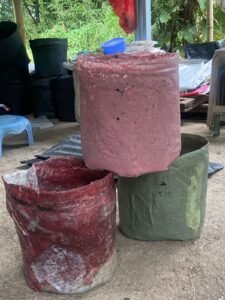 colorful trash bins from manado