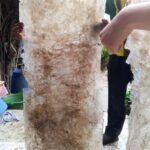 plastic recycled panel made in hawassa ethiopia