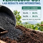 biochar mixed with vermicompost